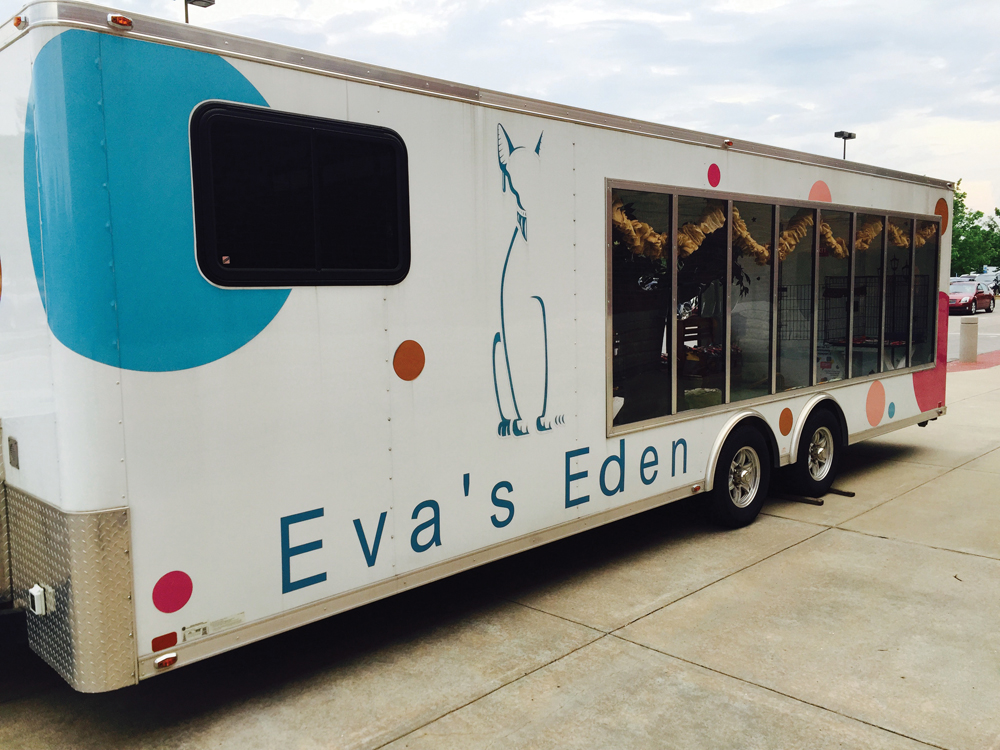 Apocalypse Meow: How a Cult That Believes Cats Are Divine Beings Ended Up in Tennessee